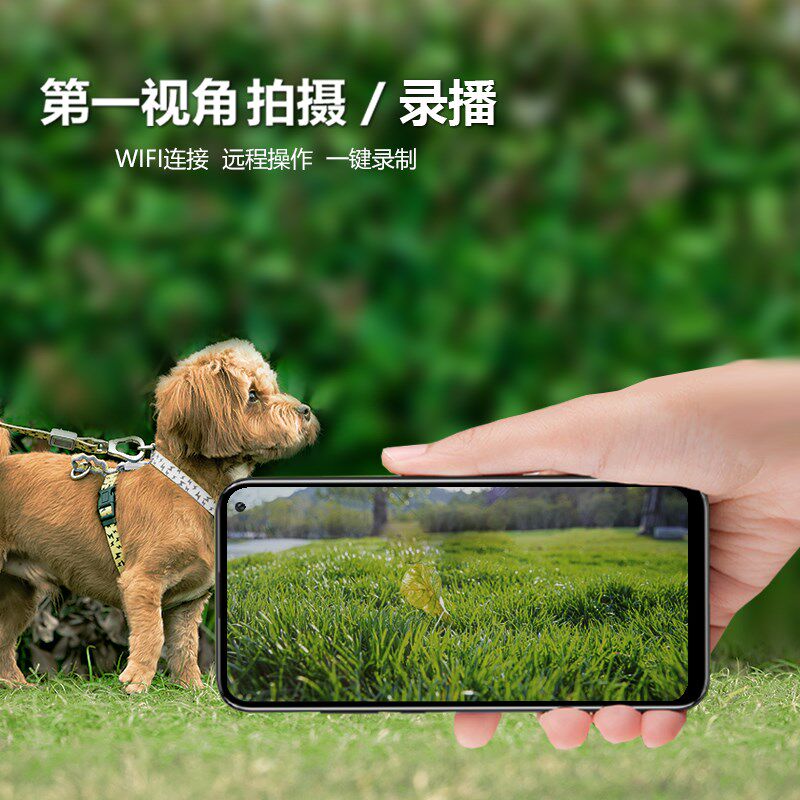 宠物猫咪狗狗视角wifi相机挂脖项圈摄像头无线记录仪猫用拍摄设备