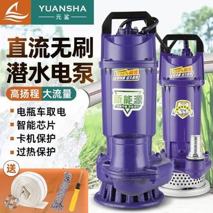 现货直流无刷智能潜水泵48V60V7D2伏通用电瓶车农用高扬程大流量