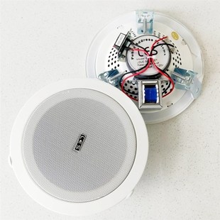 店铺超市餐厅音响 嵌入式 LES 商场天花吸顶喇叭背景音乐公共广播