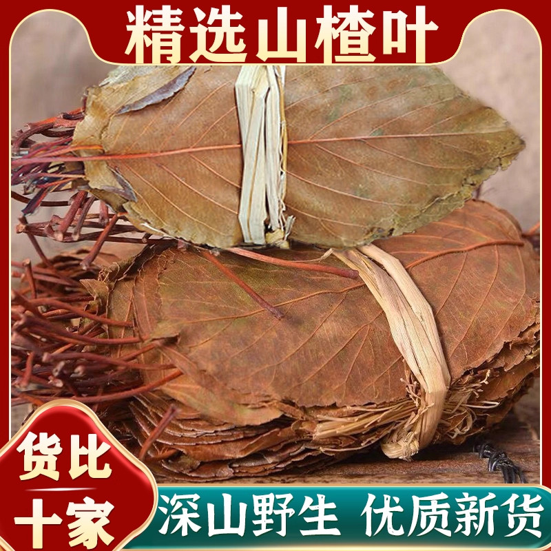 野生山楂叶中药材正品山楂树叶子泡茶泡水喝山楂叶茶山楂叶的功效