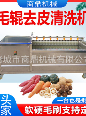 供应U型毛辊马铃薯去皮清洗机 生姜脱皮清洗机 土豆清洗去皮机