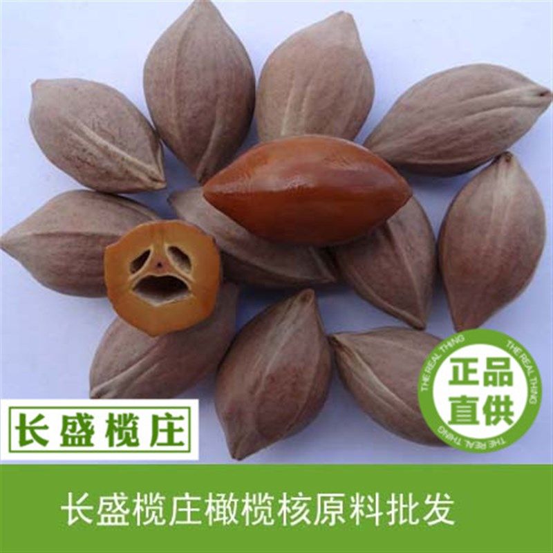 橄榄核原料特大超大陈年老油核乌榄单籽精品核雕四花大核编号5601