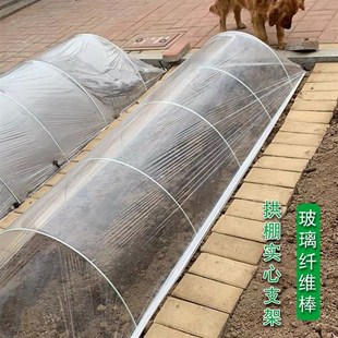 大棚骨架内棚温室塑料棚支架小拱棚拱杆蔬菜农业小工棚弹力棒玻纤