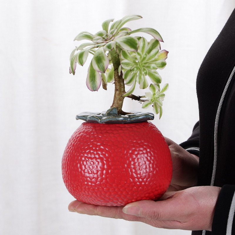 大吉大利荔枝桔子水培花瓶花盆客厅桌面玄关新家乔迁装饰花瓶摆件,清洗/食品/商业设备,洗车机,淘宝优惠券,粉丝福利购,淘宝优惠卷