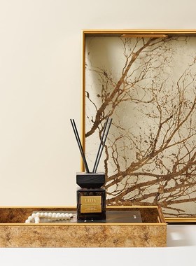 欧式轻奢金色长方形透明底茂密树枝托盘样板间桌面收X纳盘装饰摆