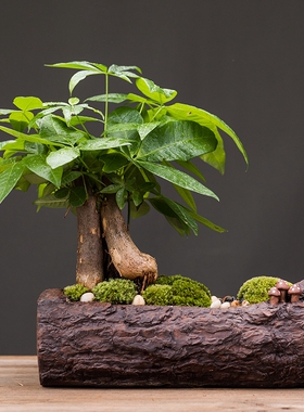 发财树家居装饰品办公客厅茶几绿萝文竹陶瓷花P盆招财创意桌面摆