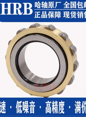 HRB轴承 RN 307 308 309 310 311 312 313 M 偏心摆线针减速