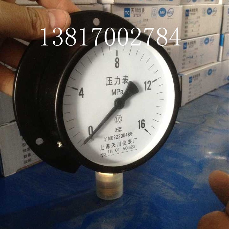 上海天川仪表Y-100T径向带边压力表0-16MPSA船用压力表带后边