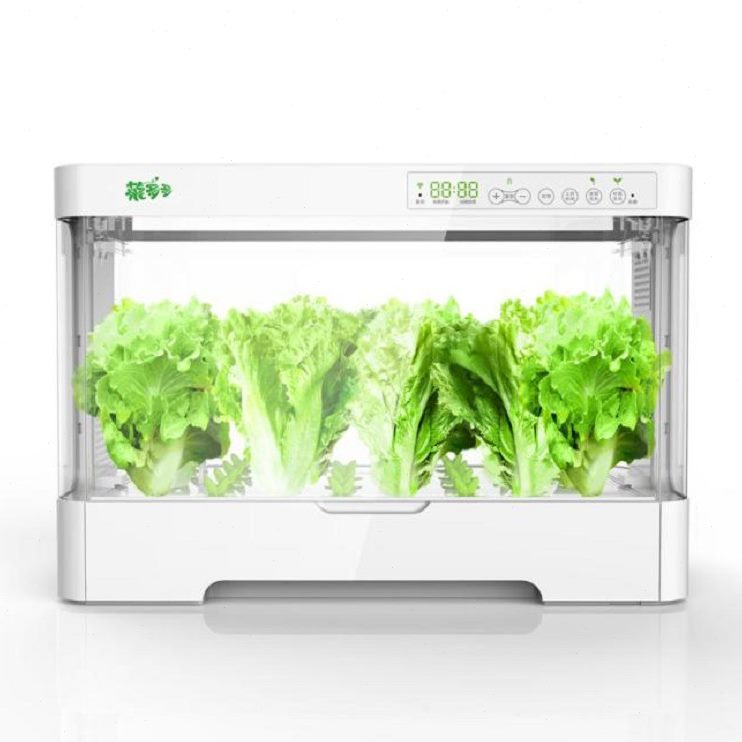 甄选菜多多无土栽培自动化设备 智能家庭室内水培蔬菜草莓番茄种