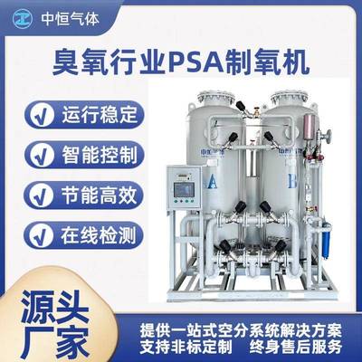 臭氧行业PSA制氮机大型制氮机食品制氮机99.999高纯度制氮设备