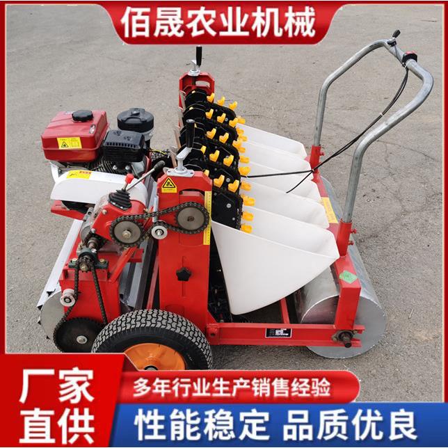 大蒜播种机种蒜机器手推电动小型大蒜点播机元胡播种机