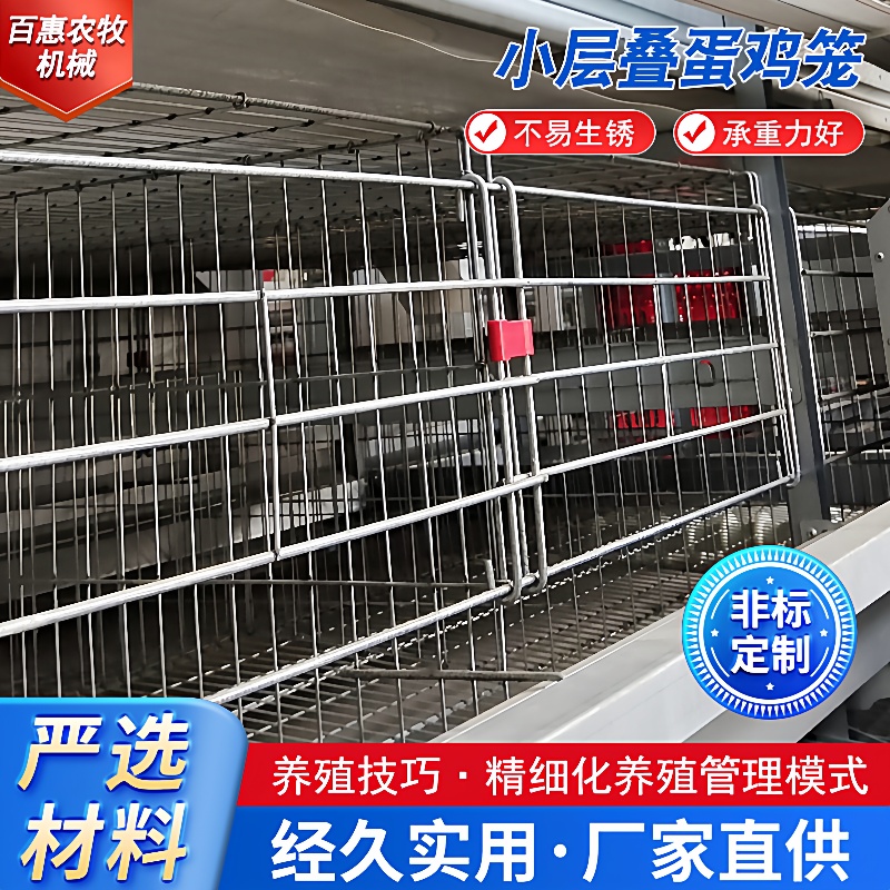 小层叠蛋鸡笼养鸡设备立体式阶梯式蛋鸡笼好管理备育雏笼推荐