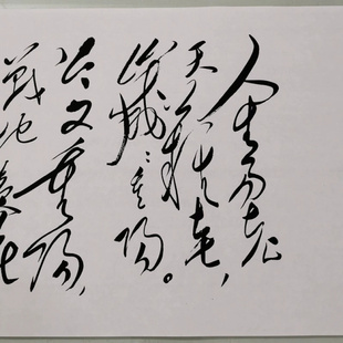 沁园春诗词采桑子重阳复古书法字画草书微喷仿古装裱玄关客厅装饰