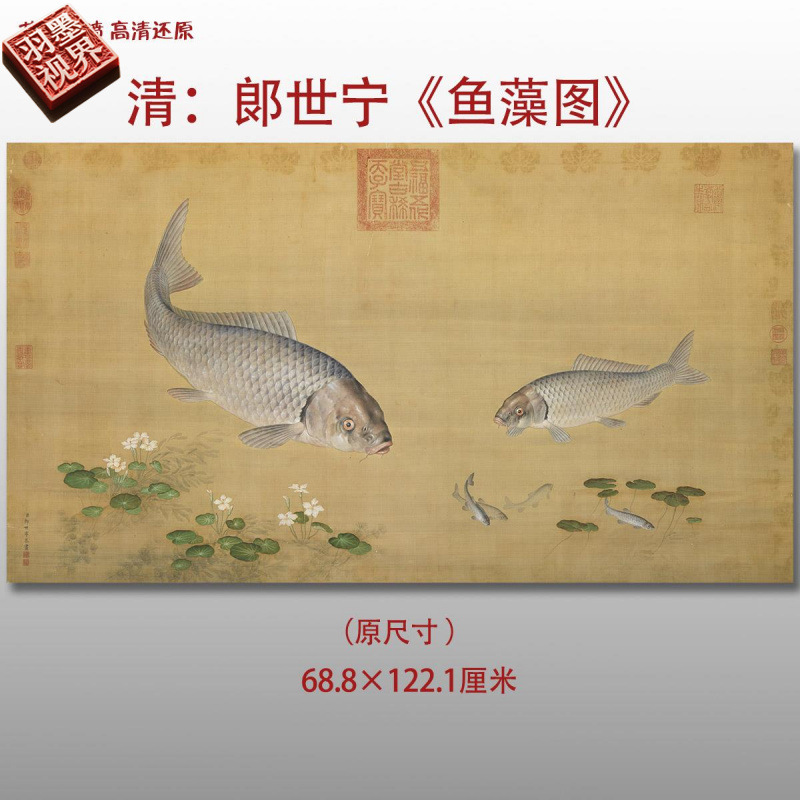 清郎世宁鱼藻图传统工笔动物画高清艺术微喷绢本画心临摹范本装饰图片