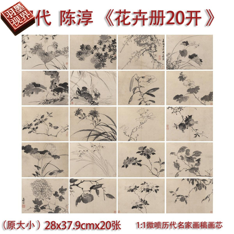 明陈淳花卉册二十开写生图册临摹画稿微喷打印古画复制品花鸟画心