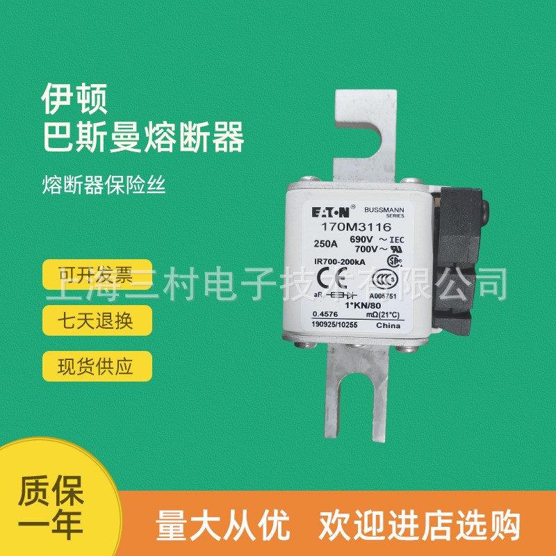 原装快速熔断器保险丝170M3116 170M3117 170M3118 170M3119