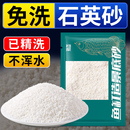 免洗白沙石英砂细沙鱼缸造景专用底部砂河沙粗沙小沙子铺垫化妆沙