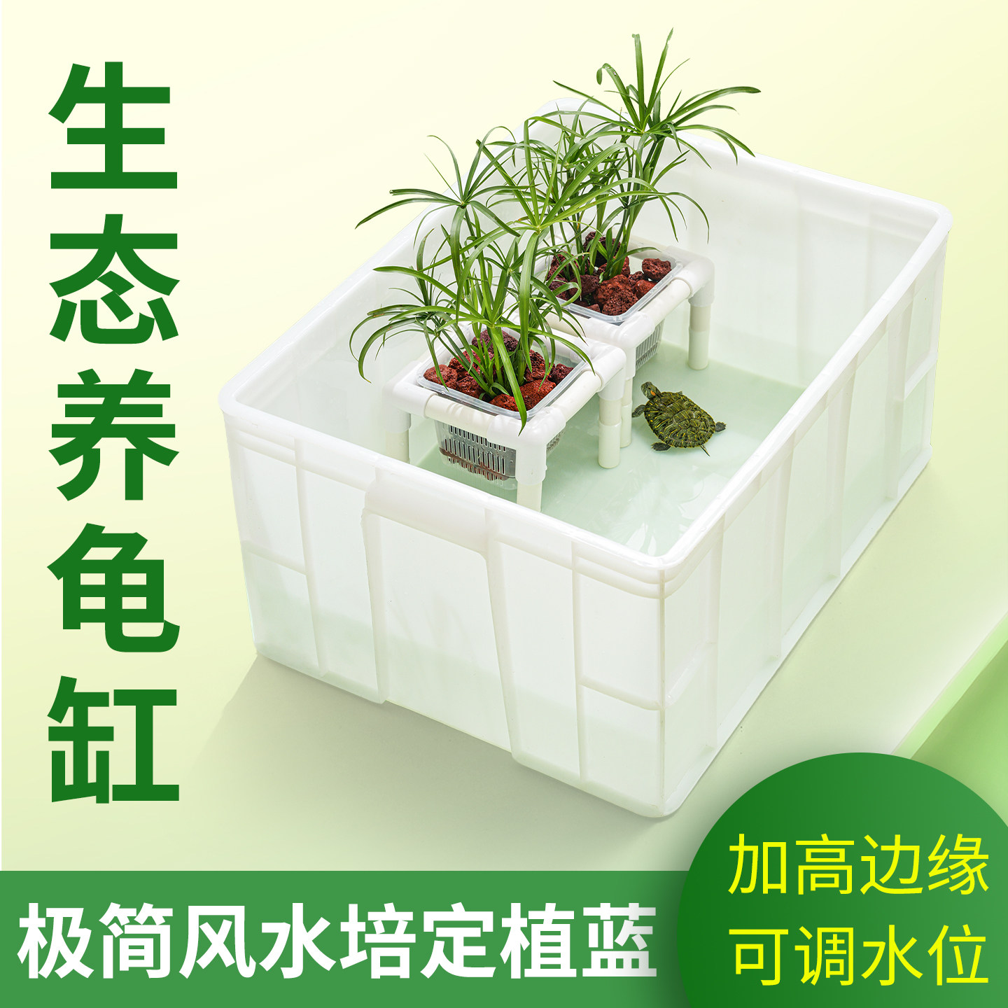 定植篮鱼缸水培植物造景图片
