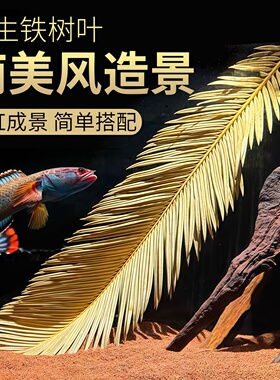 天然铁树叶沉叶鱼缸造景南美缸原生缸装饰树叶网红沉叶黄色树叶