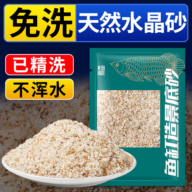 天然水晶沙乌龟水陆缸造景