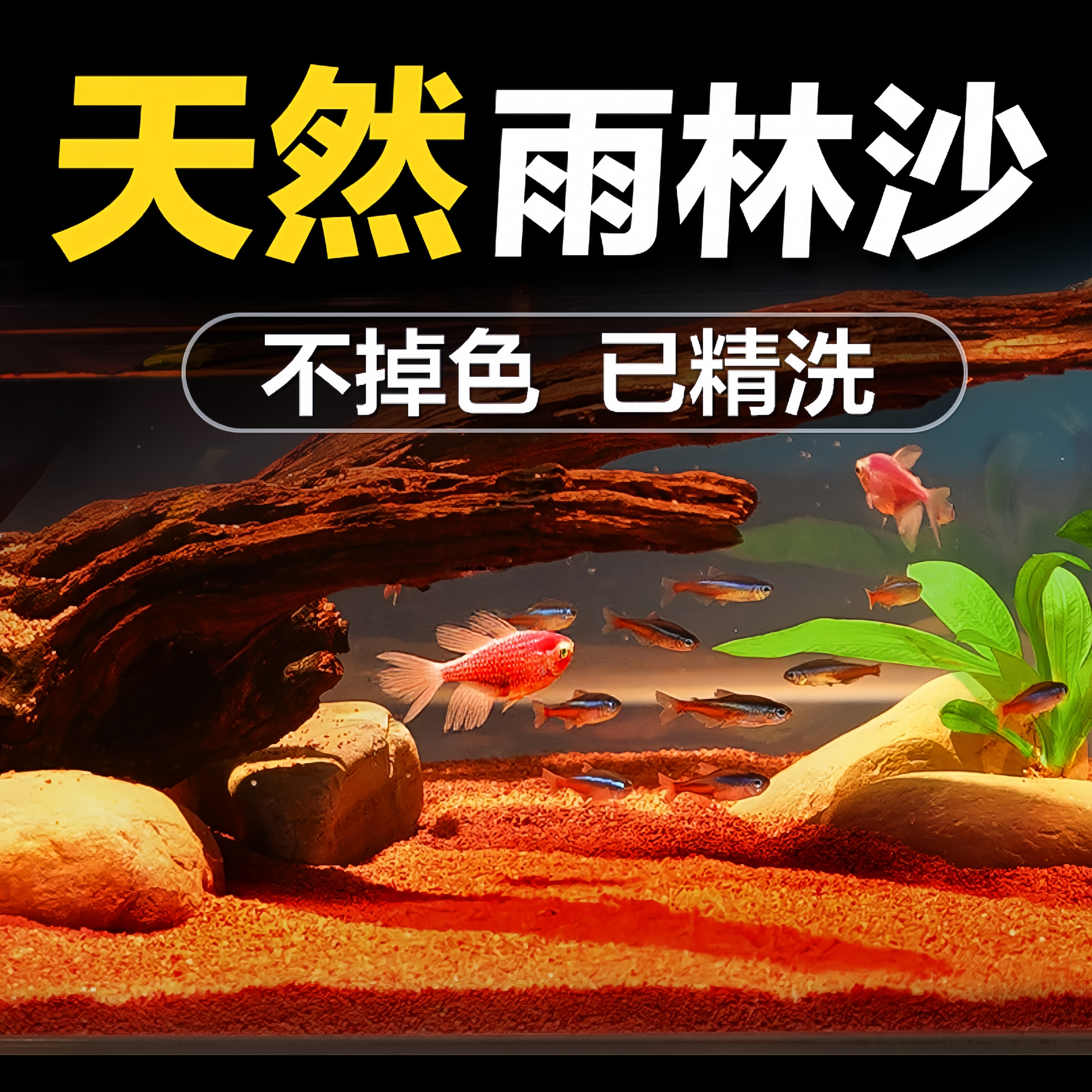 栩渠热带精品雨林沙鱼缸造景