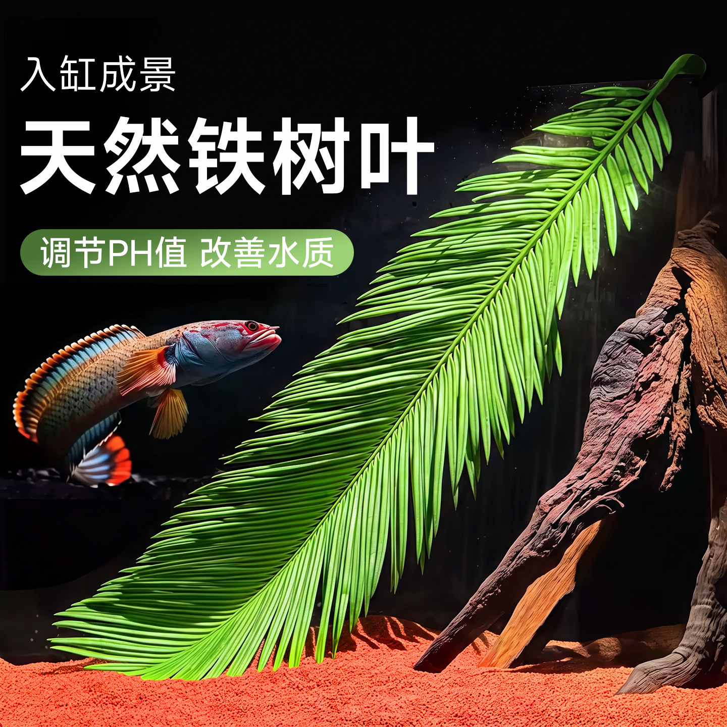 天然铁树叶沉叶鱼缸造景装饰图片