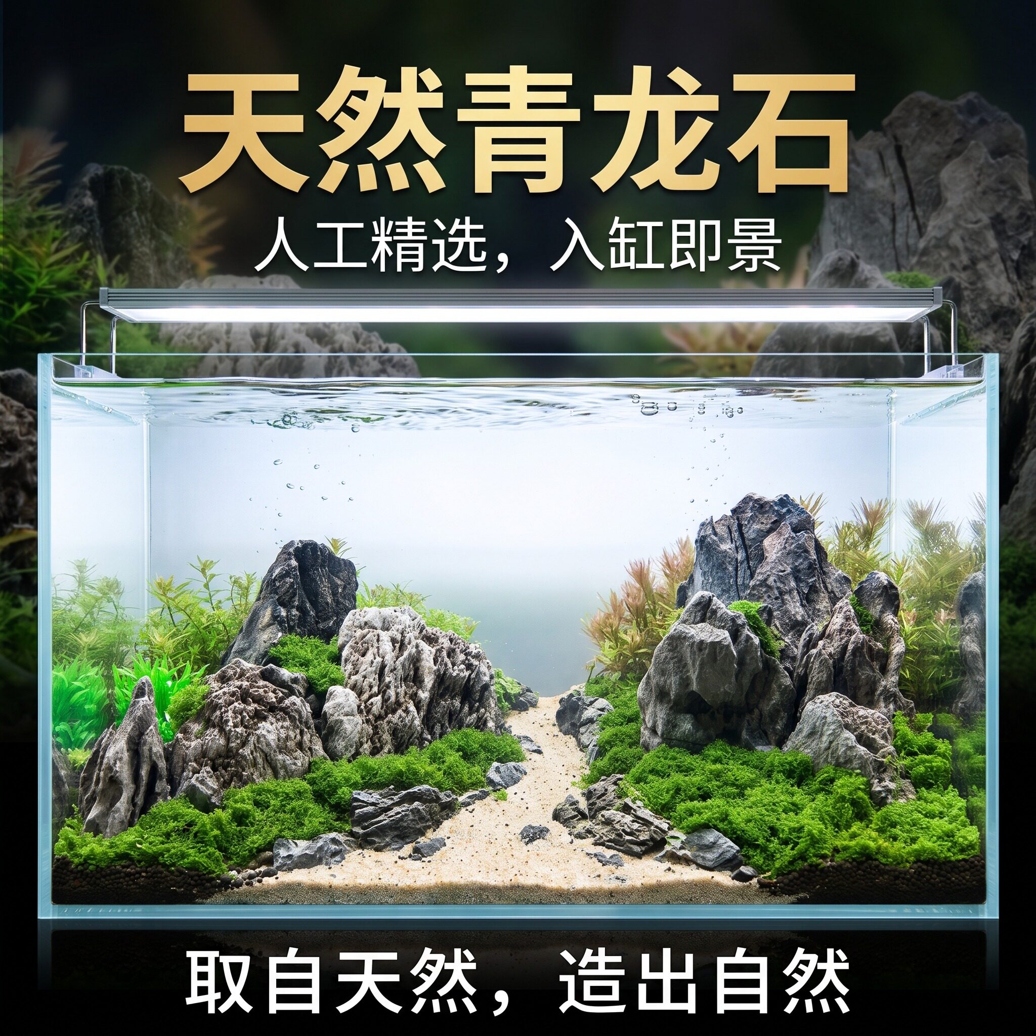 天然青龙石鱼缸草缸造景石精选大块原石装饰摆件苔藓小缸观赏石头
