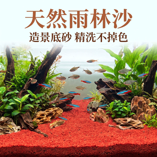 天然南美雨林沙鱼缸铺底造景