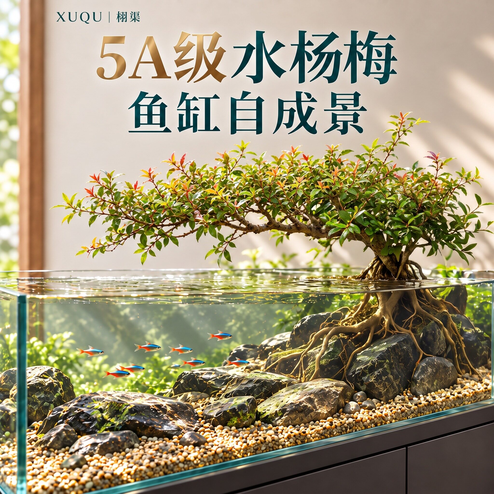 水杨梅水培植物水生植物原生鱼缸增氧造景树水草净化水质好养易活