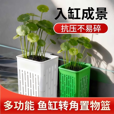 水培水草定植篮转角造景