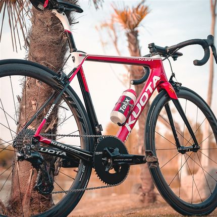 PASS QUEST 牙盘钉修饰盖110bcd UT R8100 DA R9200