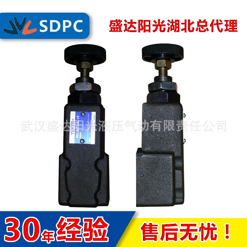 无锡宏泰广东油研溢流阀DT-01管式板式直动式DT-02现货