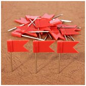 软木图钉工字钉 单色红色100个清装 长针彩色红旗钉 地图标注钉