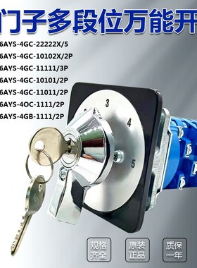 LW39-16/25AYS-4GB/4GC-1111/10102/11111/22222X冲床多段位开关