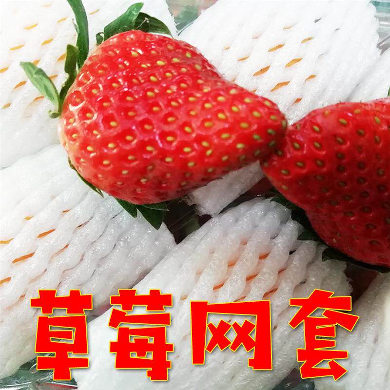 水果网套加厚保护套桃子杏子泡沫防震网防虫树上枇杷网格套袋彩色