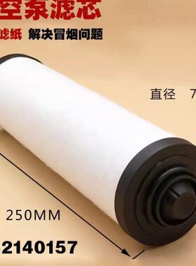 进口真空泵滤芯油雾过滤器RA0100RA0160RA0302RA0400排气过滤器