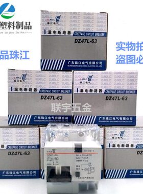 珠江漏电保护开关2P63A32a断路器带空气开关DZ47L63家用电闸漏保