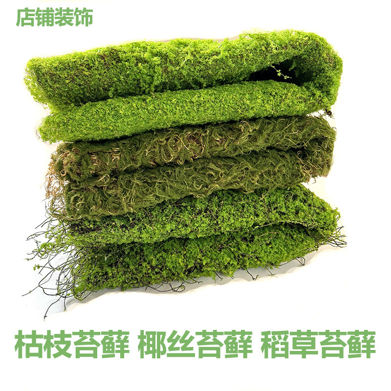 仿真枯枝苔藓椰丝曲丝苔藓防掉毛苔藓木屑苔藓造型室内装饰批发