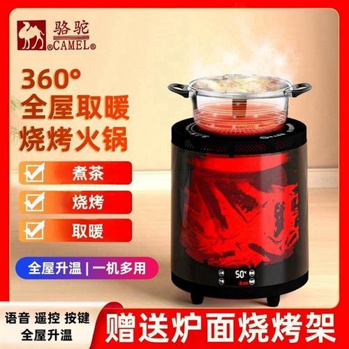 德国进口骆驼牌取暖器室内家庭围炉煮茶智能语音小太阳暖风机3d火