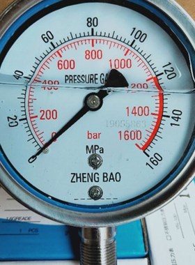 YN100BF 0-160MPA1600BAR高压不锈钢抗震表不锈钢液压耐震压力表