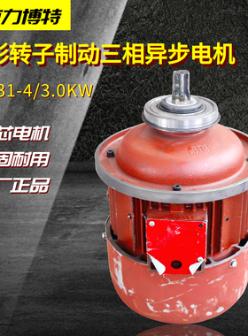 南京力博特锥形转子起重电机ZD131-4-3KW行车2吨电动葫芦起升电机