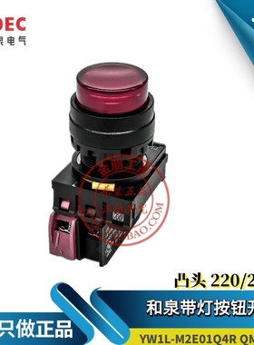 原装和泉IDEC 红色带灯复位凸头按钮 YW1L-M2E01Q4R 24V   YW-DE
