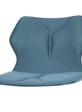 EAVY 颐维撑腰座 新款 护腰坐垫靠垫 坐姿矫正 保护腰椎 防止腰累