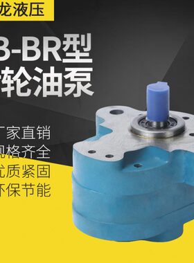 CB-B6R CB-B2.5/4/6/10/16/20/25/32/40/50/63R 型齿轮油泵