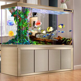 底滤鱼缸客厅家用中大型免换水水族箱屏风玄关超白玻璃龙鱼缸 新款
