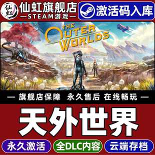 Steam正版天外世界1 激活码CDKey入库全球区国区The Outer Worlds 全DLC电脑PC单机开放世界科幻角色扮演游戏