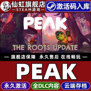 Steam正版PEAK拉我一把 激活码CDKey入库全球区国区 全DLC支持联机电脑PC动作冒险 物理 探索 独立 多人 游戏