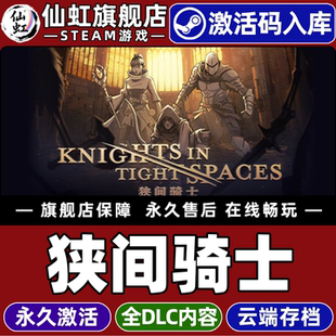 CDKey入库全球区国区 Knights 全DLC策略 狭间骑士 卡牌战斗单机电脑PC游戏 Spaces 激活码 Tight Steam正版