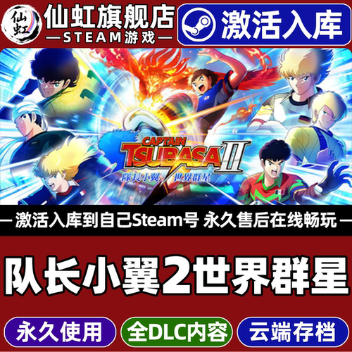 队长小翼2世界群星Steam激活游戏