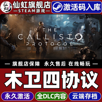 Steam正版木卫四协议激活码CDKey